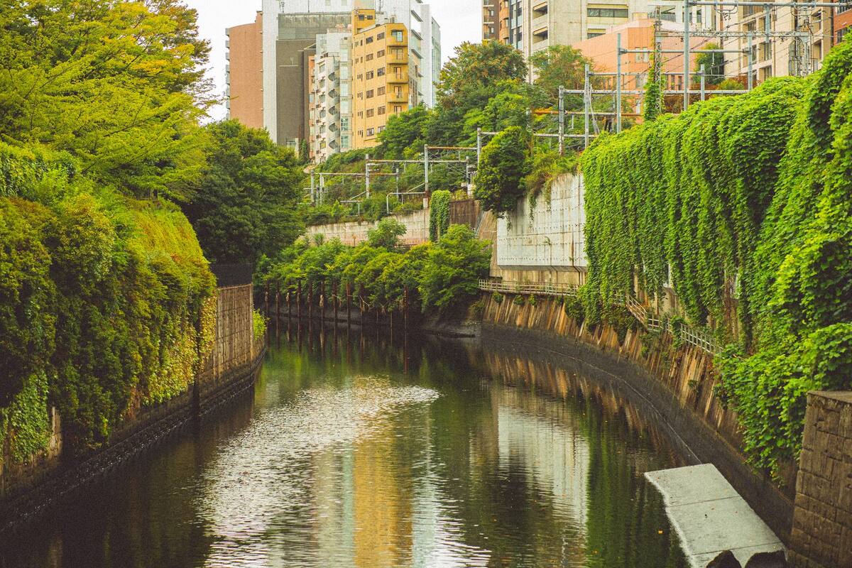 東京の街なみ