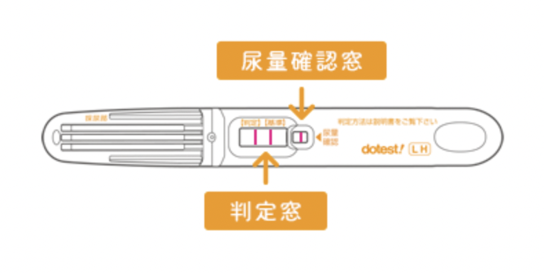 排卵日予測検査薬 選び方と使い方の注意点とは 婦人科ラボ ふたりの妊活マニュアル