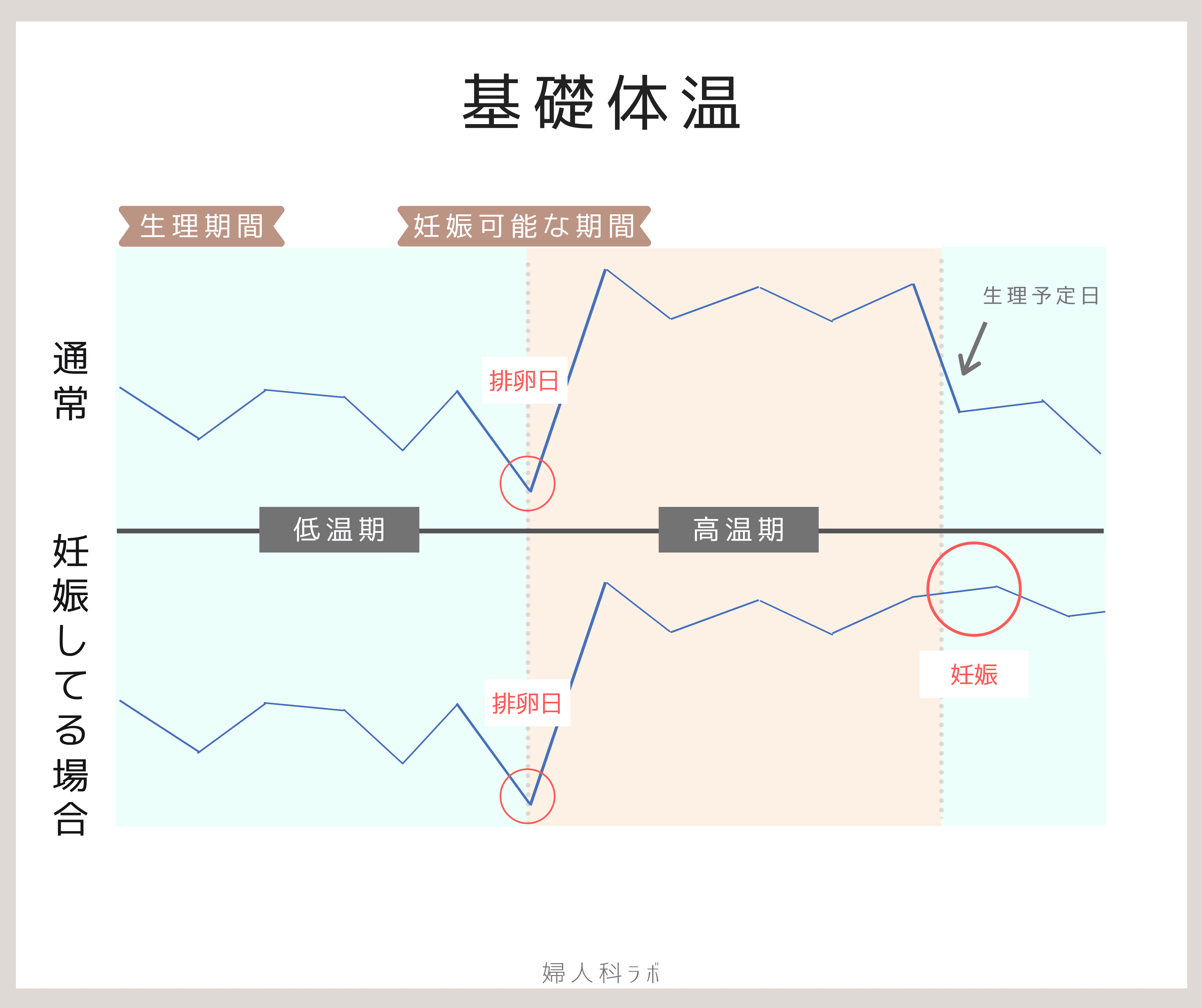 妊活時の基礎体温は測る 測らない きちんとした基礎体温の測り方 婦人科ラボ ふたりの妊活マニュアル