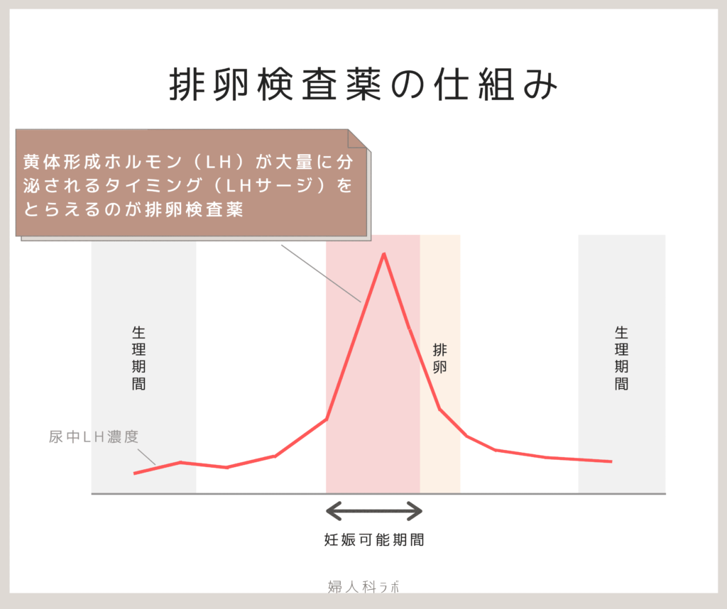 排卵検査薬 人気記事 一般 アメーバブログ アメブロ 10pcs排卵テストストリップlh予測子不妊キット不妊治療期間テスパック Ciudaddelmaizslp Gob Mx