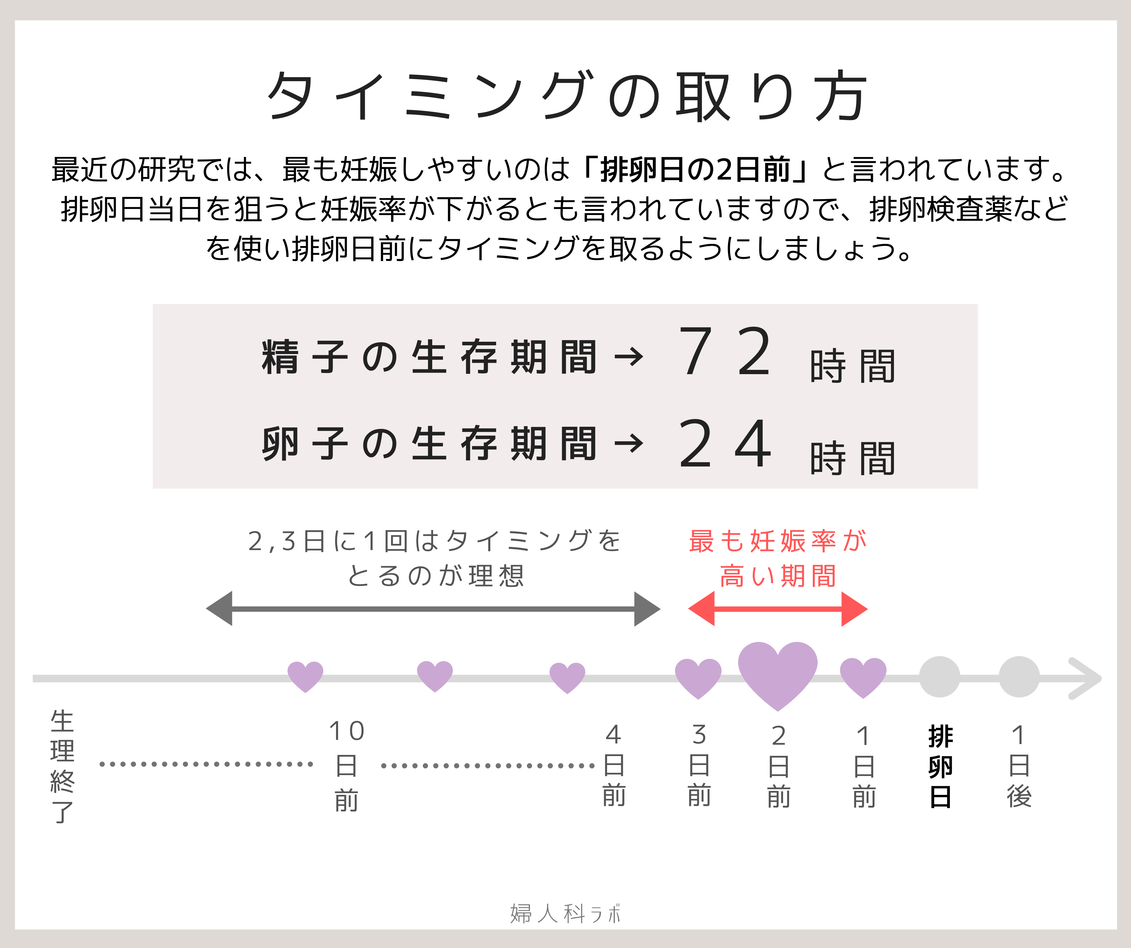 排卵日から生理まで