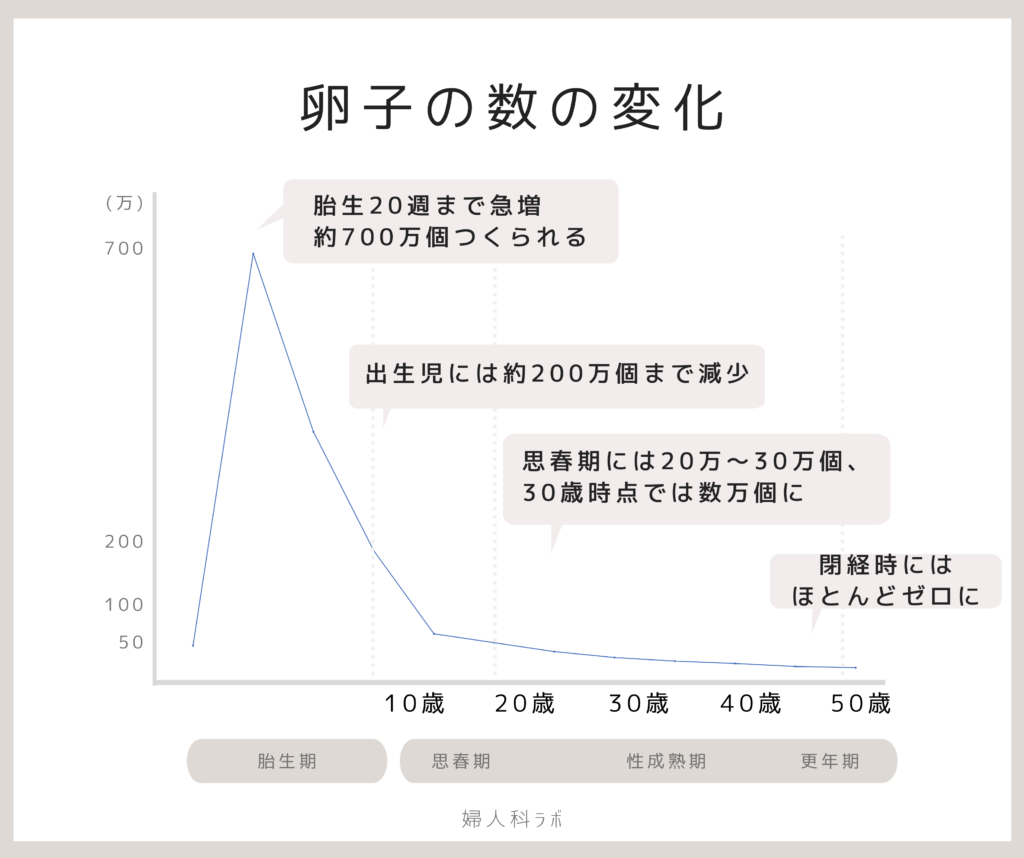 妊娠 確率 歳 自然 43